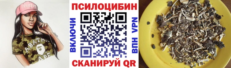 Купить где  Воткинск  Псилоцибиновые грибы Cubensis 